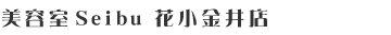 ���e��Seibu �ԏ�����X