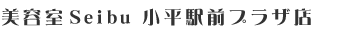 ���e��Seibu �����w�O�v���U�X