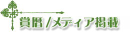 �ܗ�/���f�B�A�f��